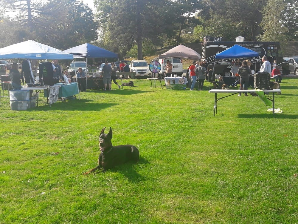 Dog Training